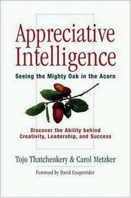Appreciative Intelligence pdf epub mobi 电子书 下载