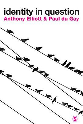 Identity in Question pdf epub mobi 電子書 下載