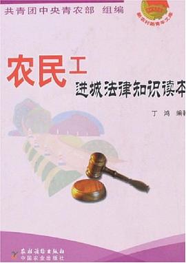 农民工进城法律知识读本 pdf epub mobi 电子书 下载