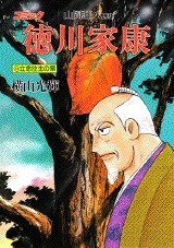 徳川家康 23 pdf epub mobi 电子书 下载