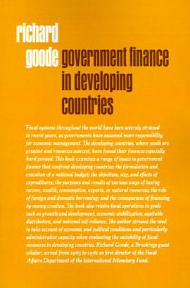 Government Finance in Developing Countries pdf epub mobi 电子书 下载