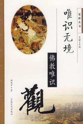 觉群丛书 pdf epub mobi 电子书 下载
