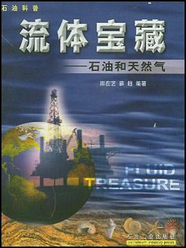 流体宝藏 pdf epub mobi 电子书 下载