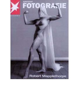 Robert Mapplethorpe pdf epub mobi 电子书 下载