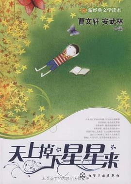 天上掉下星星来 pdf epub mobi 电子书 下载