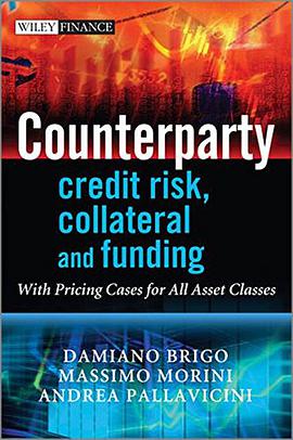Counterparty Credit Risk, Collateral and Funding pdf epub mobi 下载