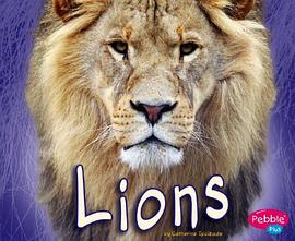 Lions pdf epub mobi 电子书 下载