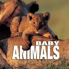BABY ANIMALS pdf epub mobi 电子书 下载