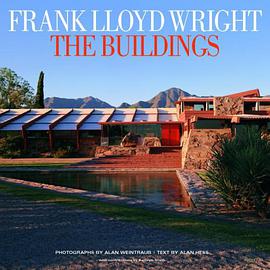 Frank Lloyd Wright the Buildings pdf epub mobi 电子书 下载