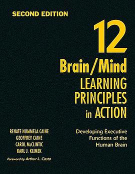 12 Brain/ Mind Learning Principles in Action pdf epub mobi 下载
