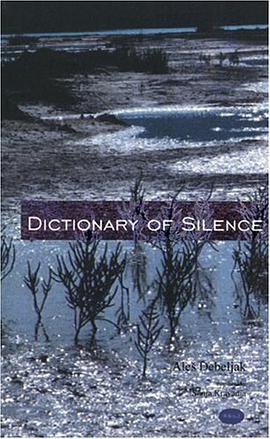 The Dictionary of Silence pdf epub mobi 电子书 下载