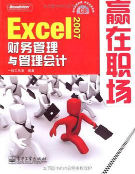 Excel 2007财务管理与管理会计 pdf epub mobi 电子书 下载