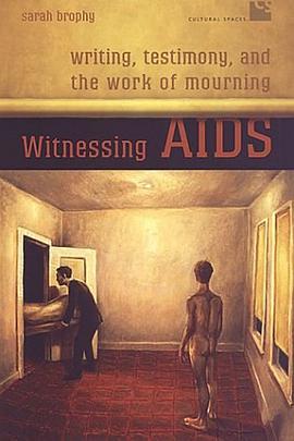 Witnessing AIDS pdf epub mobi 电子书 下载