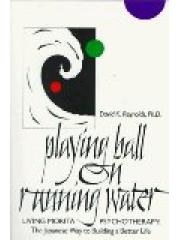 Playing Ball on Running Water: The Japanese Way to Building a Better Life pdf epub mobi 电子书 下载