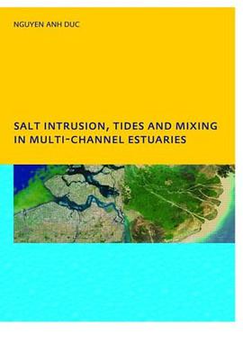 Salt Intrusion, Tides and Mixing in Multi-channel Estuaries pdf epub mobi 电子书 下载