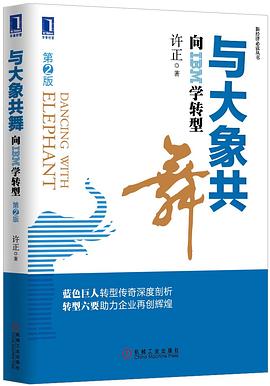与大象共舞 pdf epub mobi 电子书 下载
