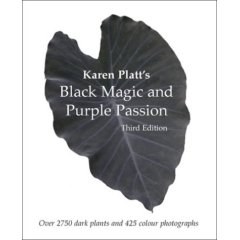 Black magic & purple passion pdf epub mobi 电子书 下载