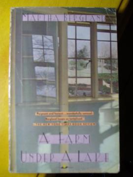 A Farm Under A Lake pdf epub mobi 电子书 下载