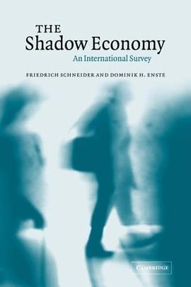 The Shadow Economy pdf epub mobi 电子书 下载