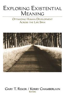 Exploring Existential Meaning pdf epub mobi 电子书 下载