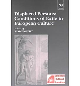 Displaced Persons pdf epub mobi 下载