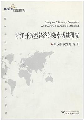浙江开放型经济的效率增进研究 pdf epub mobi 电子书 下载