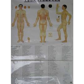 人体经穴与主治病症对照图