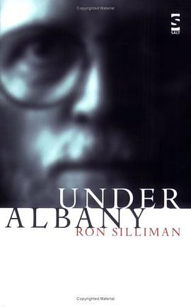 Under Albany pdf epub mobi 电子书 下载