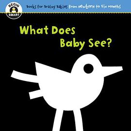 Begin Smart What Does Baby See? pdf epub mobi 电子书 下载