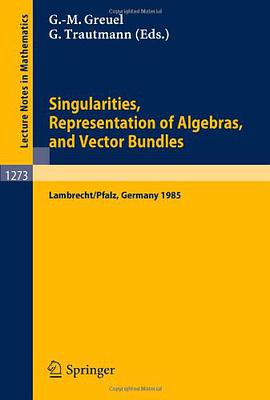 Singularities, Representation of Algebras, and Vector Bundles pdf epub mobi 电子书 下载
