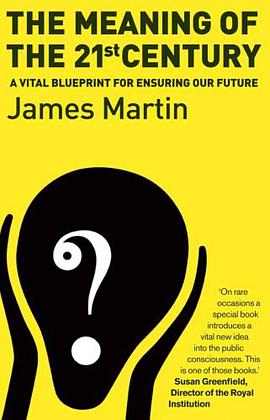 The Meaning of the 21st Century pdf epub mobi 电子书 下载