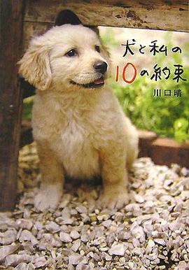 犬と私の10の約束 pdf epub mobi 电子书 下载