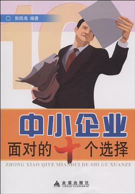 中小企业面对的十个选择 pdf epub mobi 下载