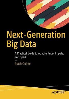 Next-Generation Big Data pdf epub mobi 电子书 下载