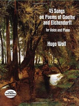 45 Songs on Poems of Goethe and Eichendorff for Voice and Piano pdf epub mobi 电子书 下载
