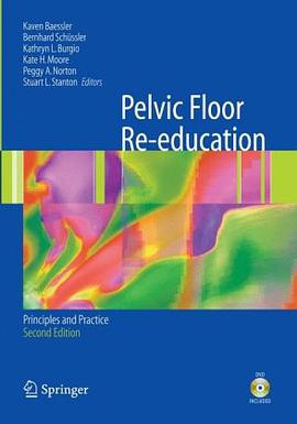 Pelvic Floor Re-education pdf epub mobi 电子书 下载