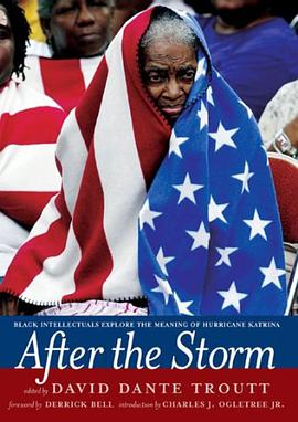 After The Storm pdf epub mobi 下载