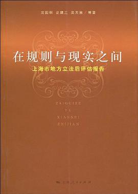 在规则与现实之间 pdf epub mobi 电子书 下载