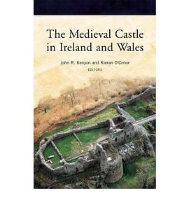 The Medieval Castle in Ireland and Wales pdf epub mobi 电子书 下载