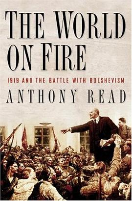The World on Fire pdf epub mobi 电子书 下载