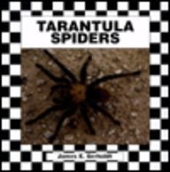 Tarantula Spiders