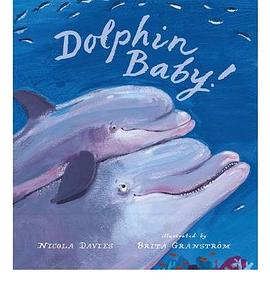 Dolphin Baby pdf epub mobi 电子书 下载