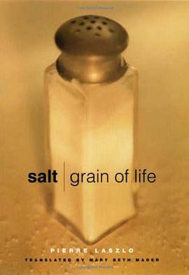 Salt pdf epub mobi 电子书 下载