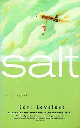 Salt pdf epub mobi 电子书 下载