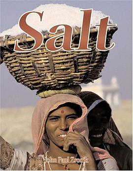 Salt pdf epub mobi 电子书 下载