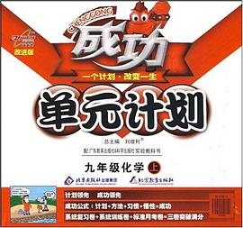 2011秋成功单元计划九年级化学