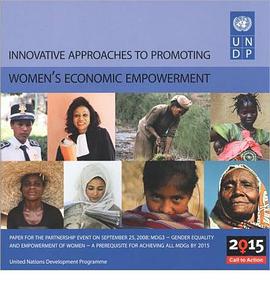 Innovative Approaches to Promoting Women's Economic Empowerment pdf epub mobi 电子书 下载