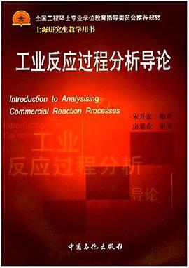 工业反应过程分析导论 pdf epub mobi 电子书 下载