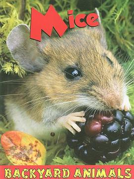 Mice pdf epub mobi 电子书 下载