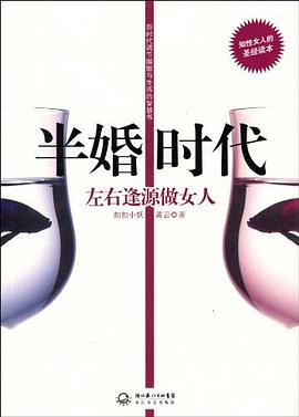 半婚时代 pdf epub mobi 电子书 下载